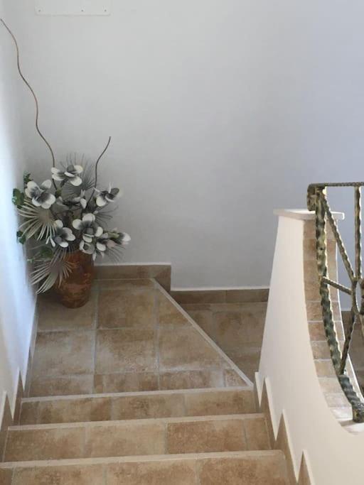 Casa Vacanza Gargano Carpino Kültér fotó