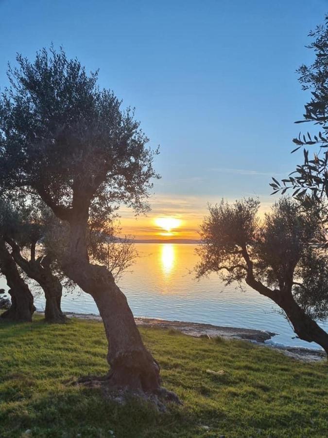 Casa Vacanza Gargano Carpino Kültér fotó